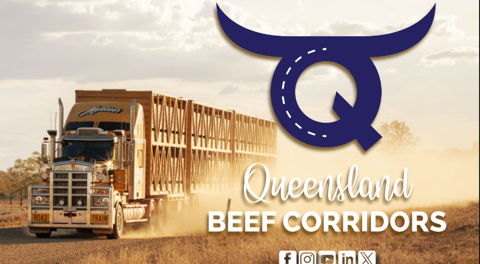 QBC Campaign