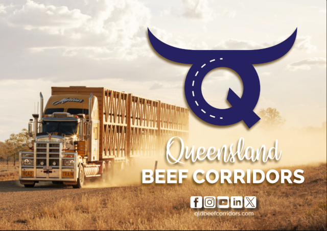 QBC Campaign